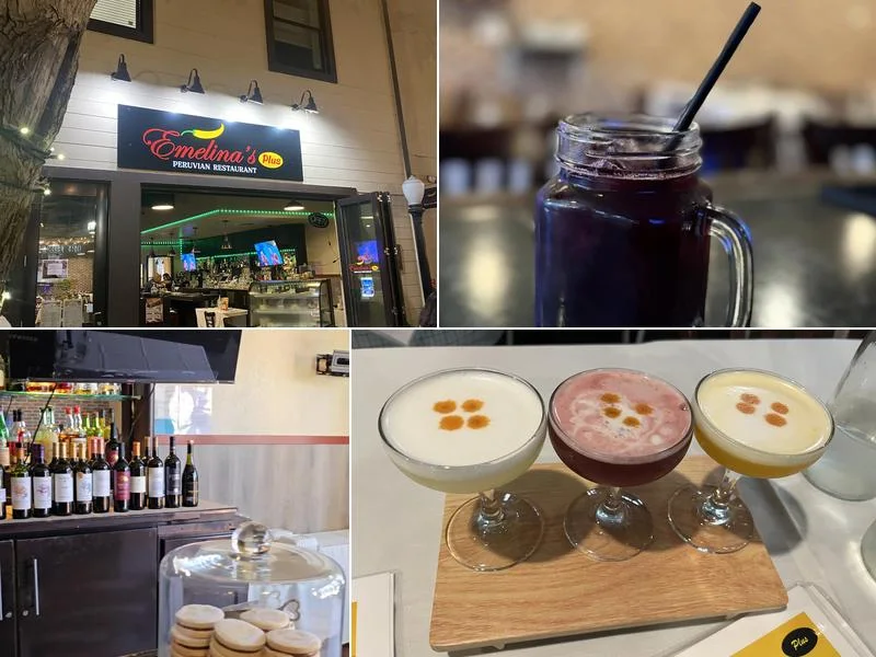 Emelina’s Peruvian Restaurant business photo