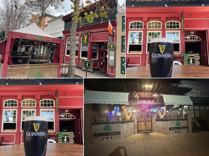 Fibbar MaGees business photo