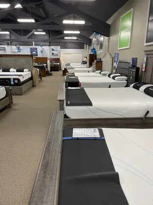 Mancini's Sleepworld Sunnyvale, business photo 3