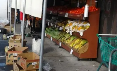 Mi Ranchito Produce, business photo 1