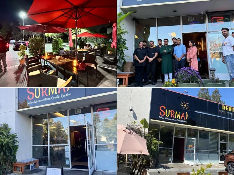 Surmai business photo