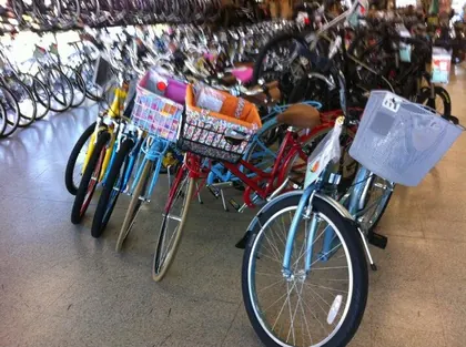 Walt's Cycle, business photo 4